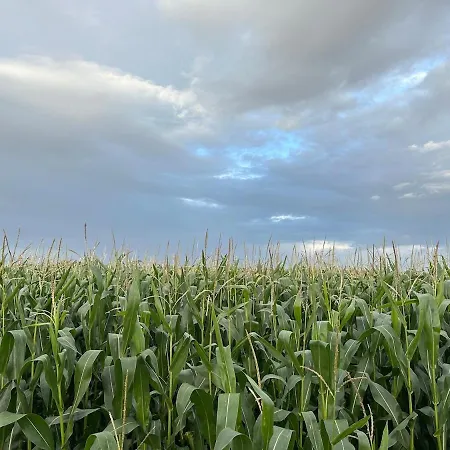 Stadil's Gamle Telefoncentral Apartment