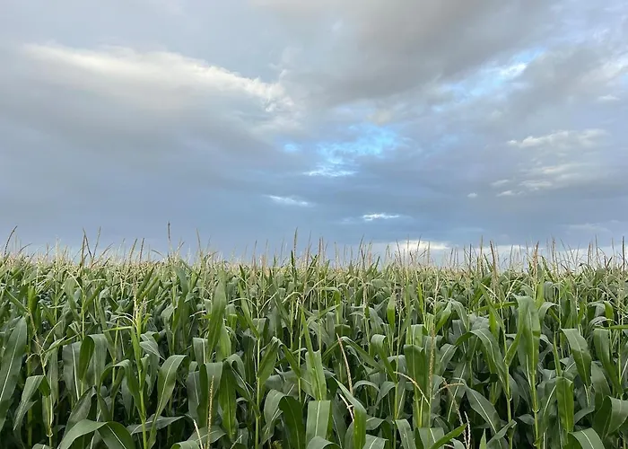 Stadil's Gamle Telefoncentral Appartement